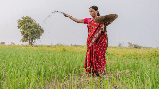 Rapid Need Assessment on Gender Integration in BRLP-JEEVIKA